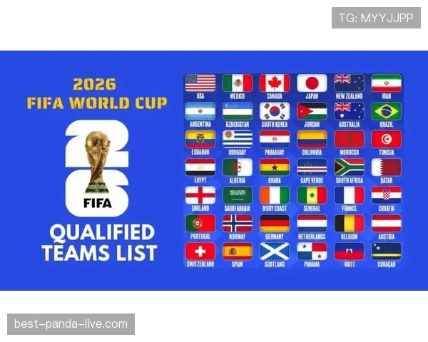 2026世界杯48支球队怎么分组成12个小组